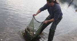 200 kg karpia trafiło do zalewu