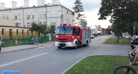Fotka nr 1 z 11