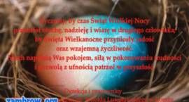 Fotka nr 3 z 14
