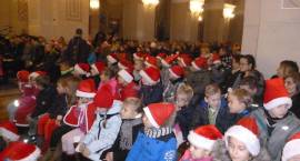 zdjęcie nr 15