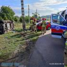 Fotka nr 2 z 12