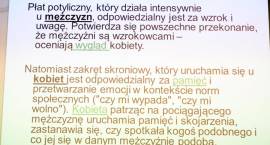 zdjęcie nr 36