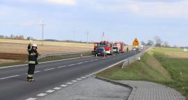 zdjęcie nr 12