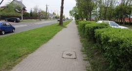 zdjęcie nr 7