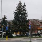 zdjęcie nr 9