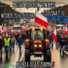Fotka nr 4 z 6