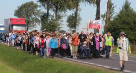 zdjęcie nr 7