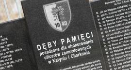 zdjęcie nr 30