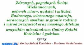 zdjęcie nr 9