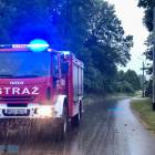 Fotka nr 1 z 13