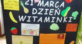 zdjęcie nr 14