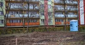 Fotka nr 2 z 7