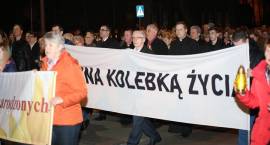 zdjęcie nr 49