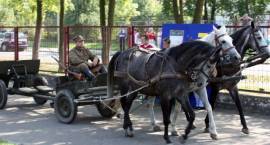 zdjęcie nr 9