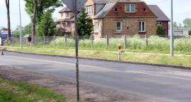 zdjęcie nr 13