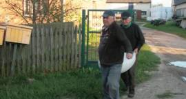 zdjęcie nr 7