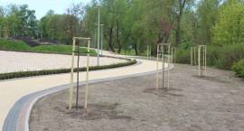 zdjęcie nr 13