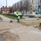 zdjęcie nr 7