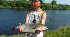 Dzienno-nocne zaowdy wedkarskie na rzece Narew