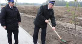 zdjęcie nr 45