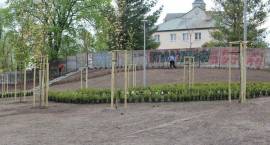 zdjęcie nr 7