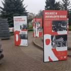 zdjęcie nr 15