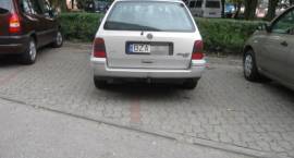 zdjęcie nr 14