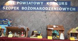 zdjęcie nr 30