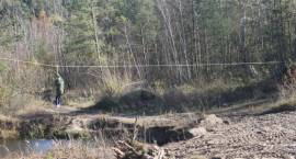 zdjęcie nr 12