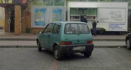 zdjęcie nr 8