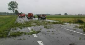 Przydrożna topola przewróciła się na samochody jadące krajową ósemką