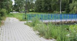 Miasto planuje budowę ścieżki wzdłuż Jabłonki
