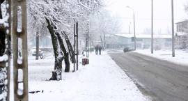 zdjęcie nr 24