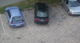 zdjęcie nr 9