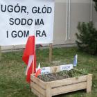 zdjęcie nr 9