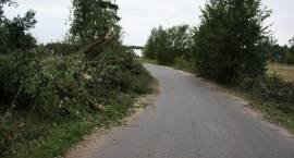 zdjęcie nr 18
