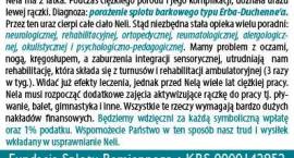 Fotka nr 3 z 7