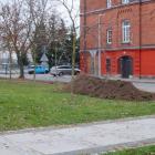 zdjęcie nr 12