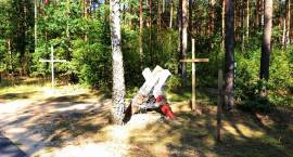 zdjęcie nr 19
