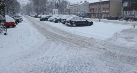 zdjęcie nr 12