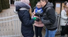 zdjęcie nr 8