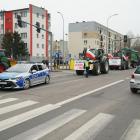 Fotka nr 3 z 117