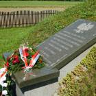 zdjęcie nr 45