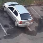 zdjęcie nr 7