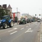 zdjęcie nr 12