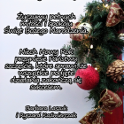 zdjęcie nr 16