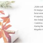 zdjęcie nr 12