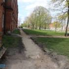 zdjęcie nr 8