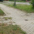 zdjęcie nr 7