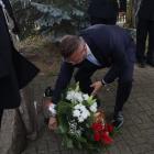 zdjęcie nr 29